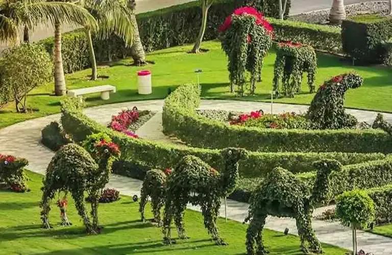 تنسيق احواش